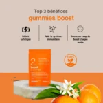 SSWLAB 2 BOOST GUMMIES 126G 42 GUMMIES GOUT FRUIT DE LA PASSION