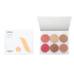 Absolute New York Icon Fair To Light Face Palette