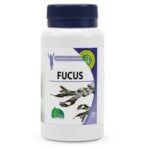 MGD FUCUS BOITE 120 GÉLULES