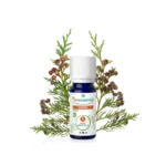 Puressentiel Huile Essentielle Cyprès BIO