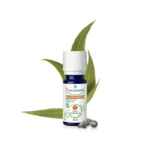 PURESSENTIEL HUILE ESSENTIELLE EUCALYPTUS GLOBULEUX BIO 10ML