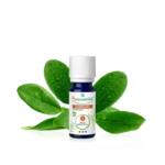 Puressentiel Huile Essentielle Ravintsara BIO 10ml