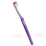 VITIS-BROSSE A DENT GINGIVAL